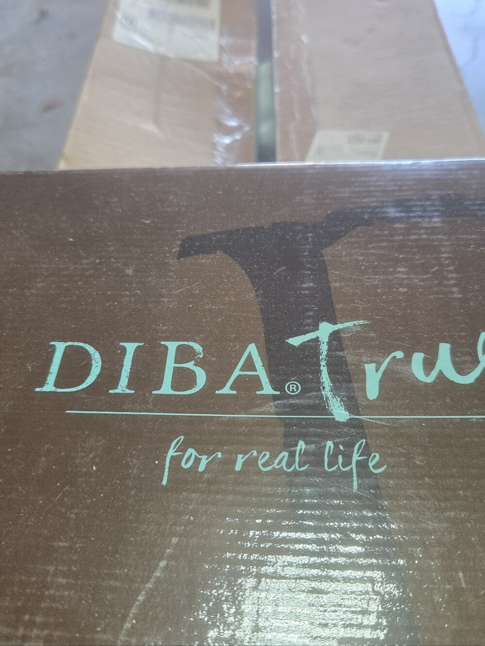 New In Box Diba Tru